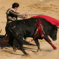 corrida